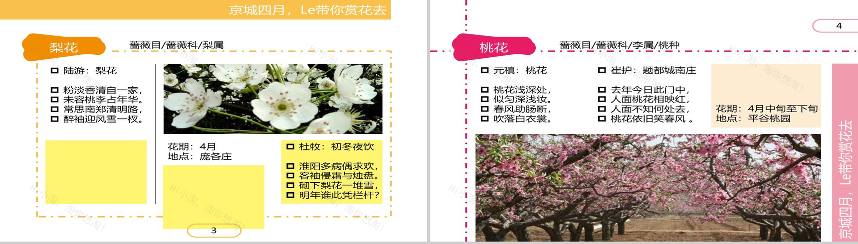 四月繁华开放精美PPT模板-3