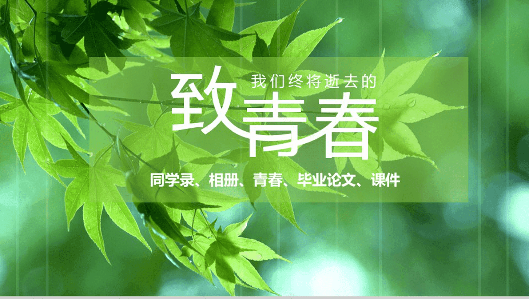 绿色简约致青春毕业同学纪念相册PPT模板-1