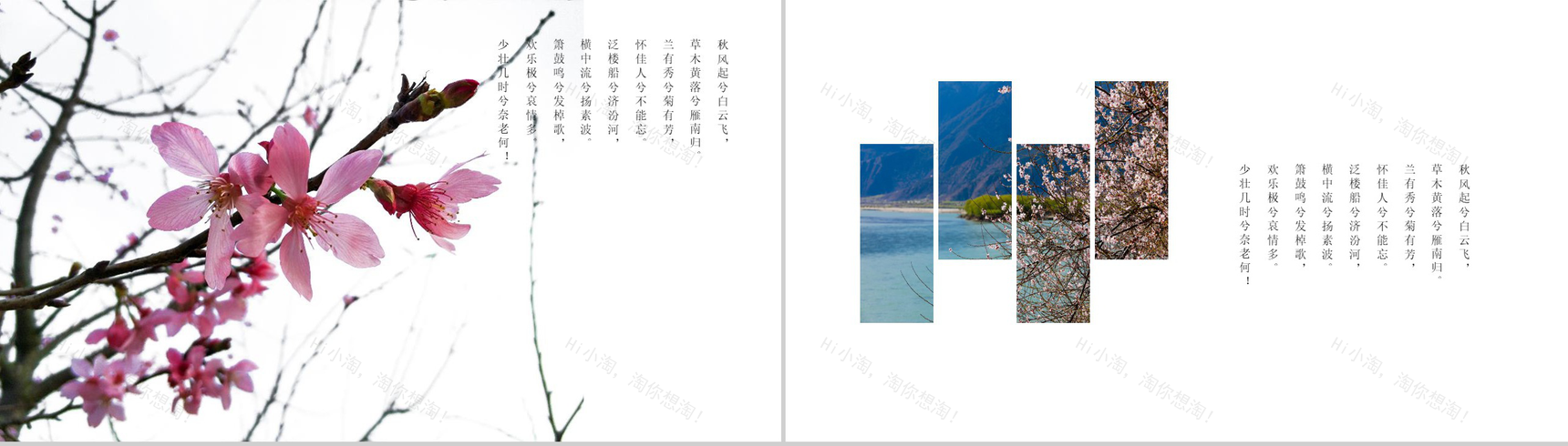 桃花节欣赏桃花旅游纪念相册PPT模板-9