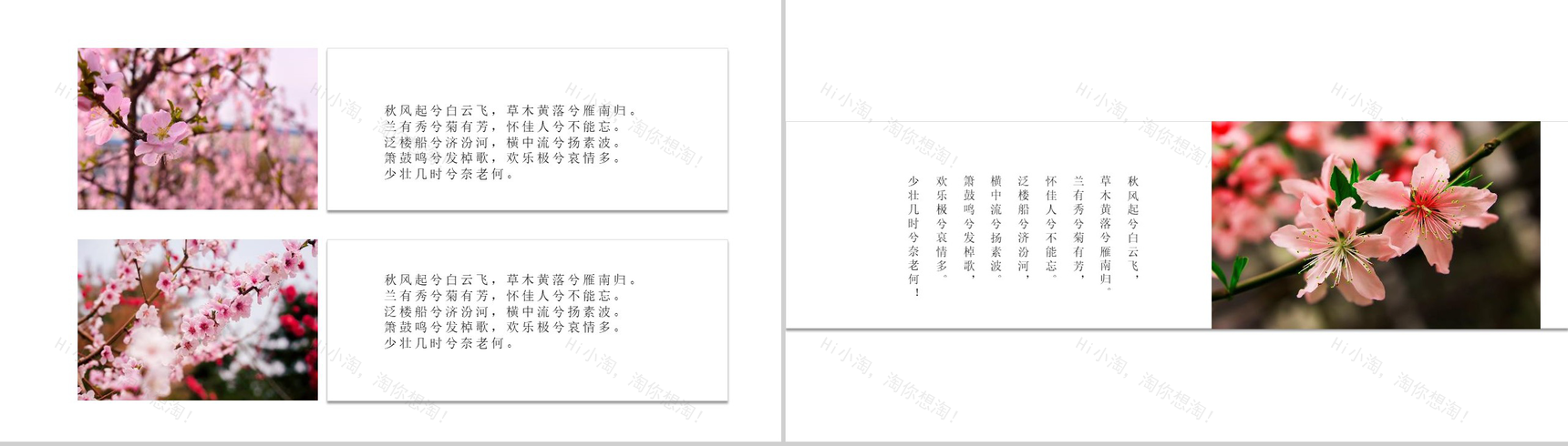 桃花节欣赏桃花旅游纪念相册PPT模板-4