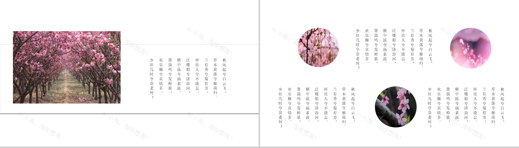 桃花节欣赏桃花旅游纪念相册PPT模板-11