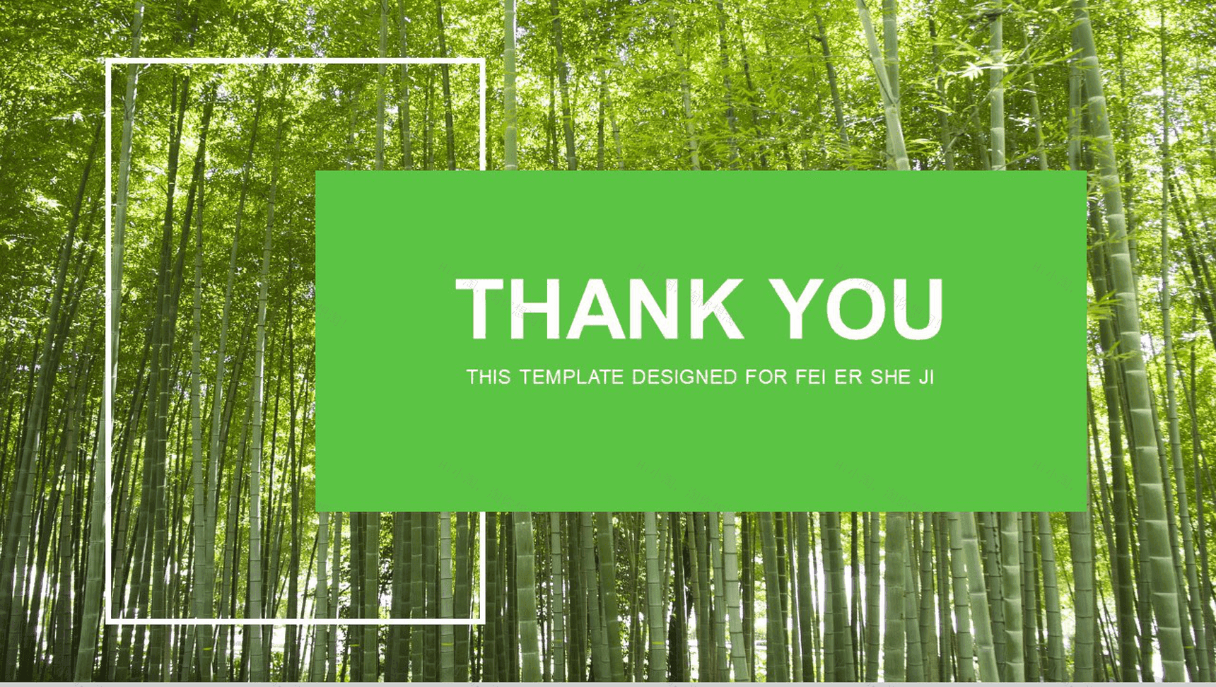 绿色清新画册风旅游介绍环保宣传自然展示PPT模板-13