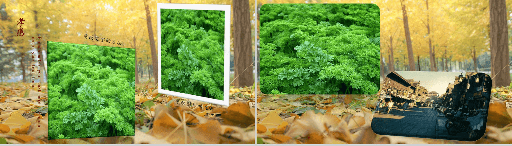 魅力湖北旅游旅行日记摄像相册纪念-13