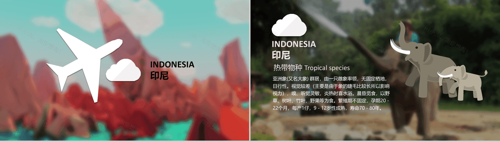 简约东南亚旅行旅游景点介绍宣传PPT模板-6