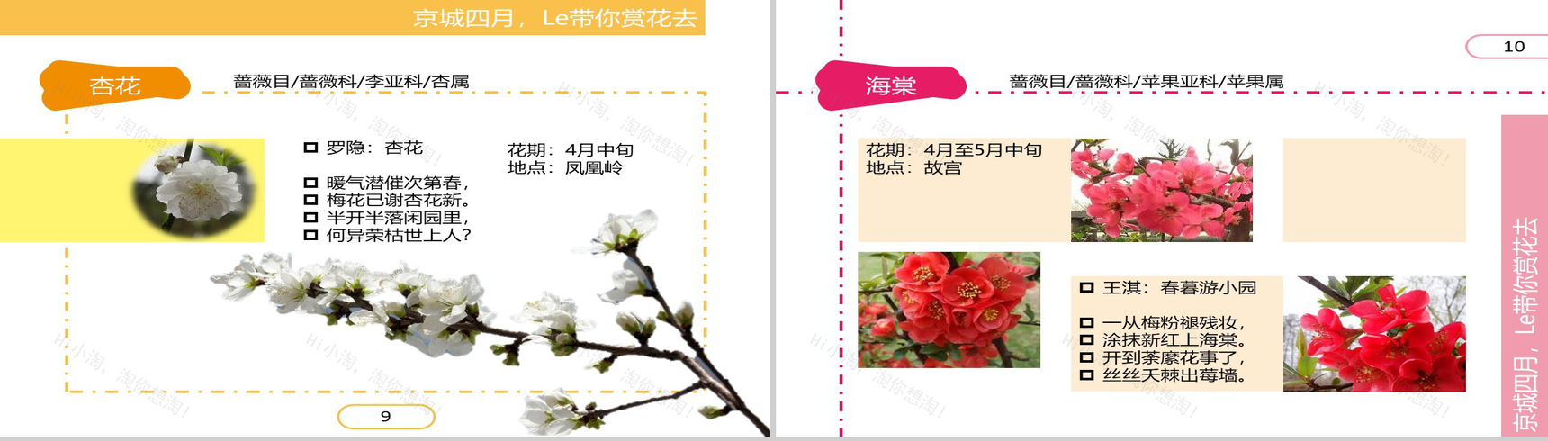 四月繁华开放精美PPT模板-6