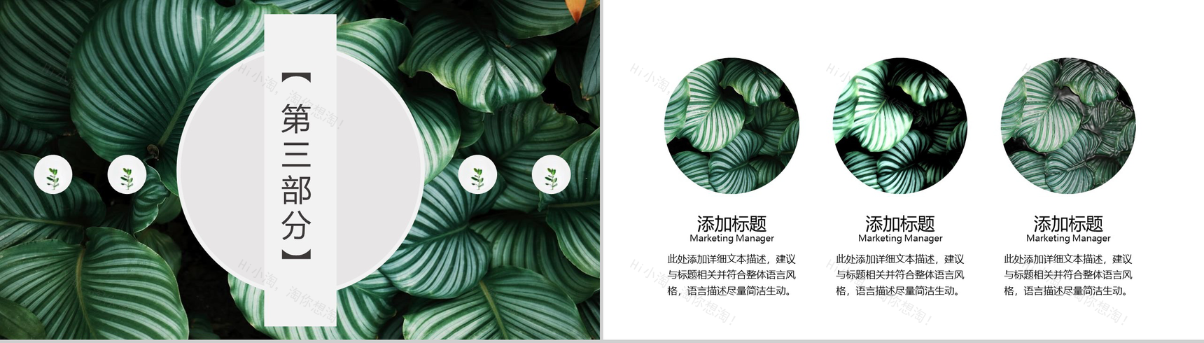 2020绿叶森系文艺工作总结PPT模板-7