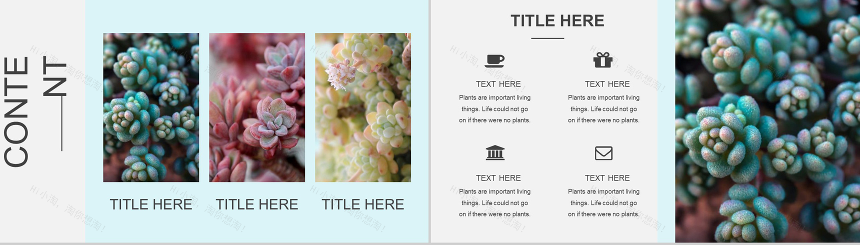 小清新多肉植物工作汇报PPT模板-2