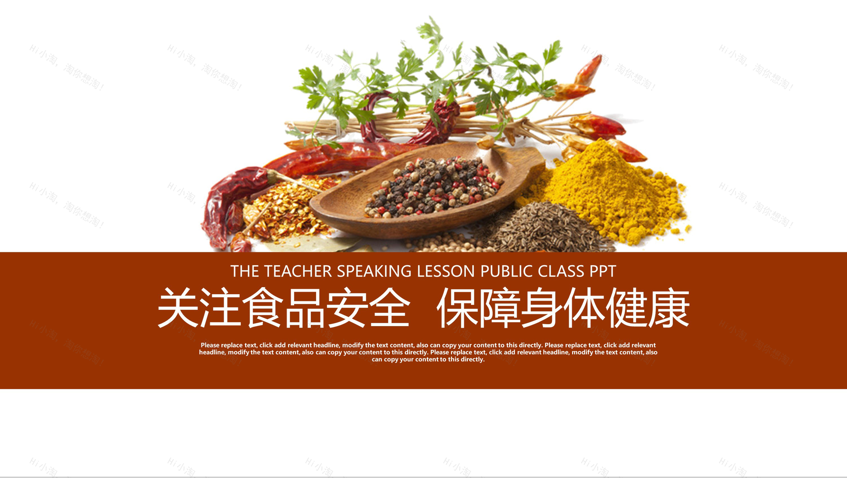 简约关注食品安全商务工作汇报总结PPT模板-1