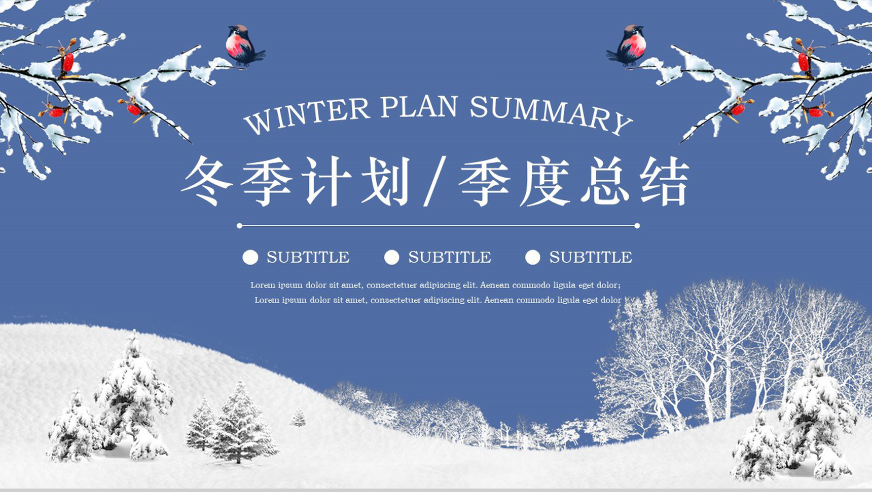 简约实用商务冬季计划汇报年度总结PPT模板
