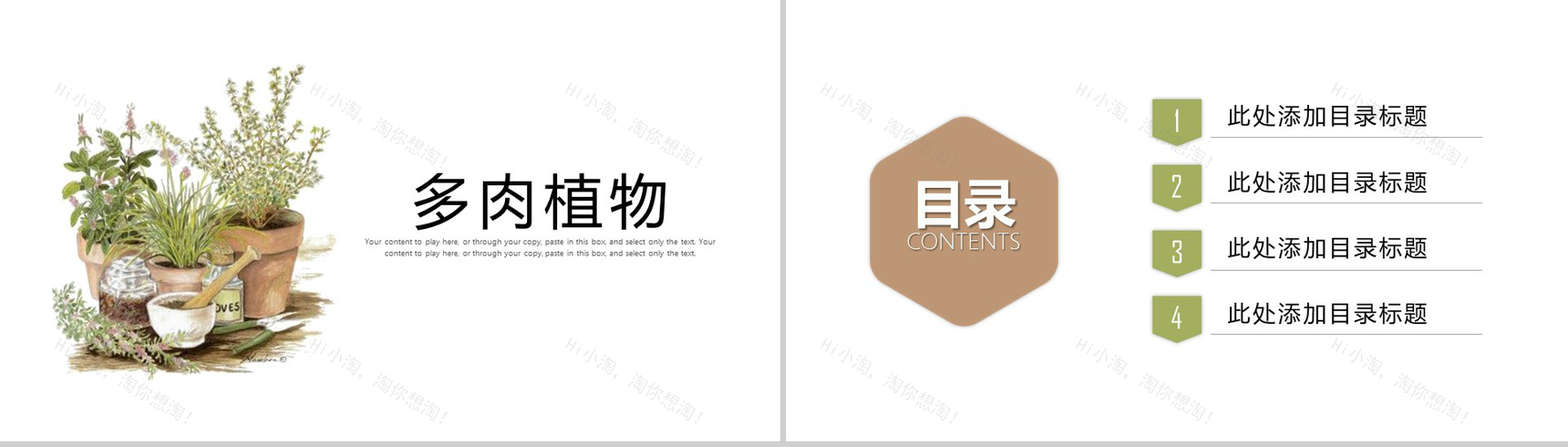 白色简约多肉植物工作汇报PPT模板-2