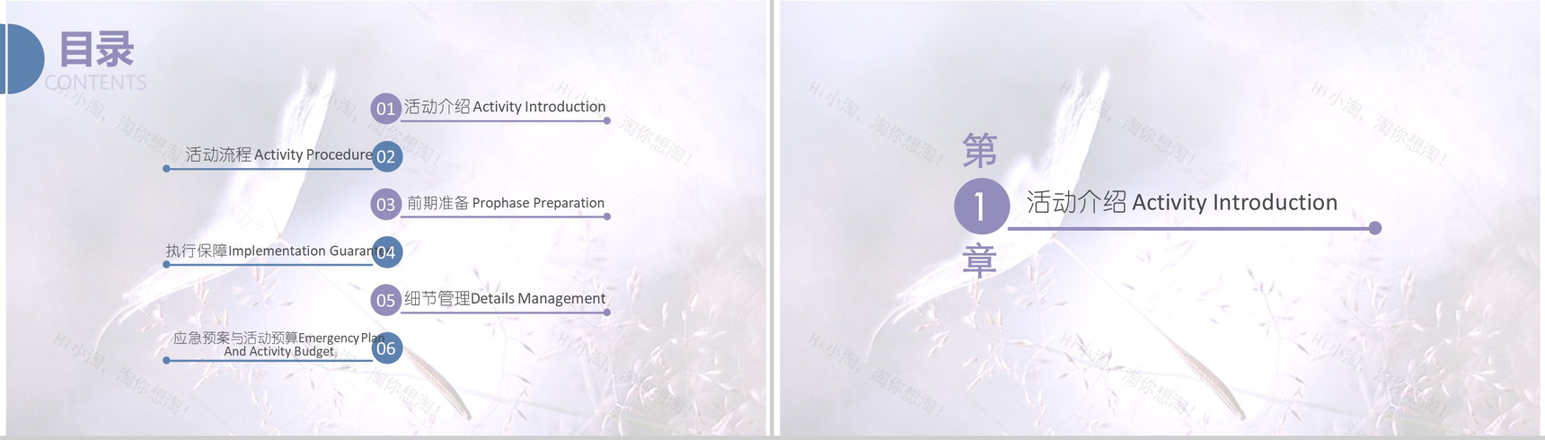 文艺简约清新双十一活动策划PPT模板-2