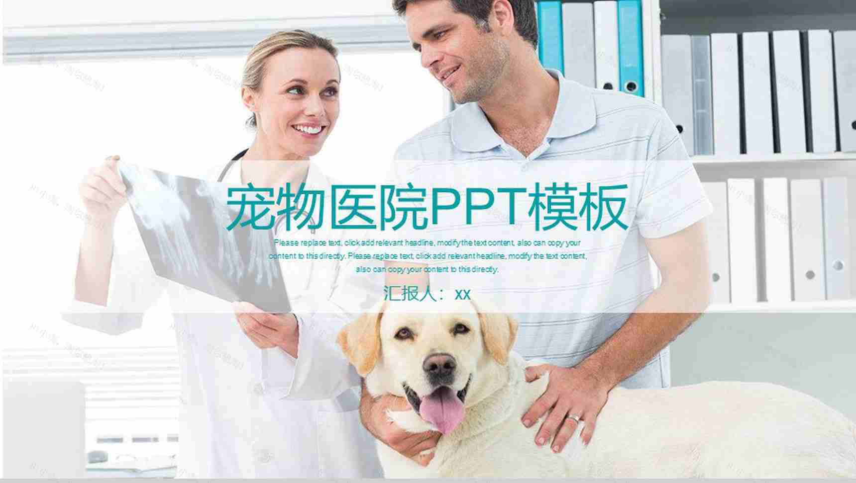 小清新宠物医院工作汇报PPT模板-1