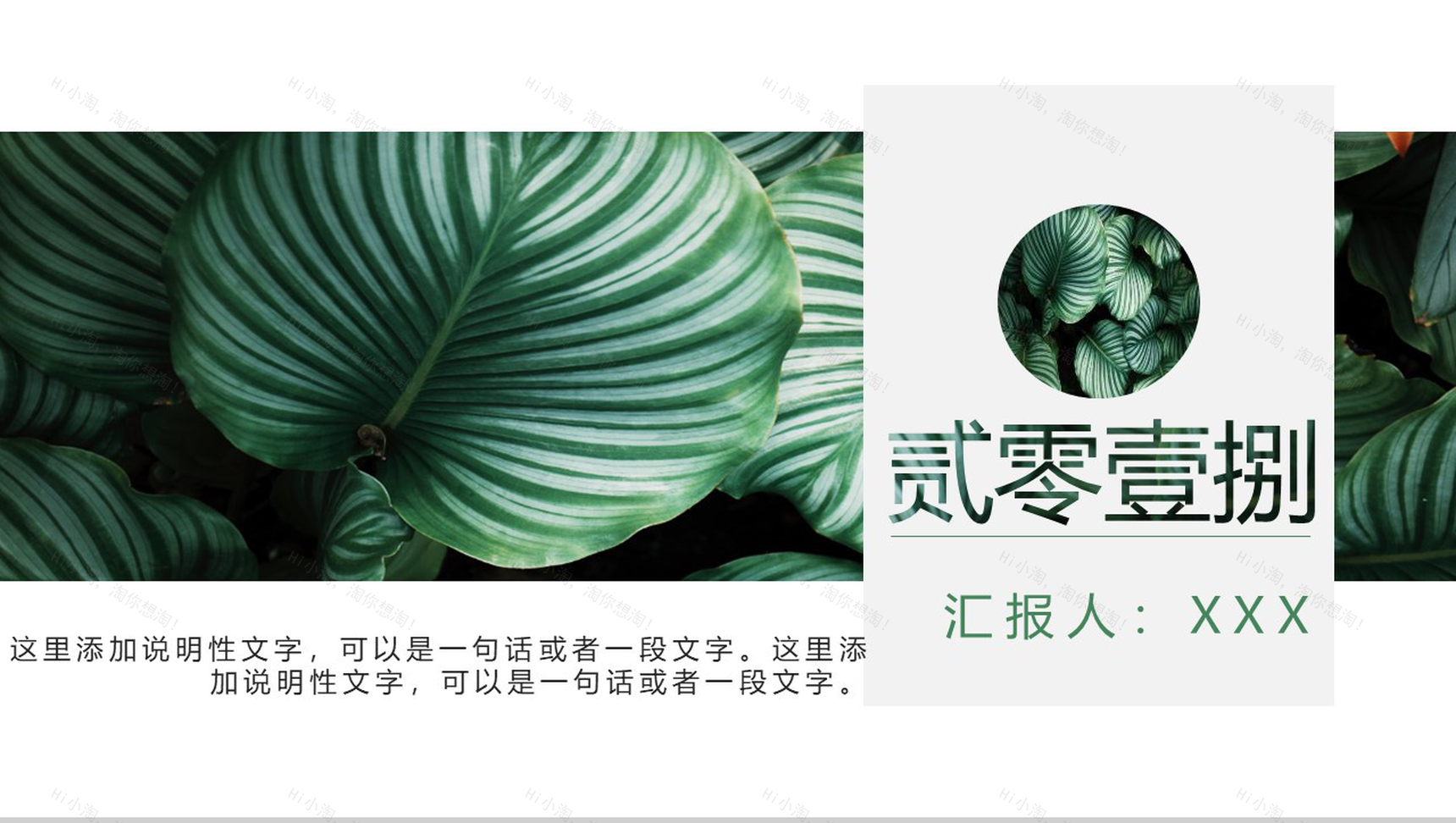 2020绿叶森系文艺工作总结PPT模板-1