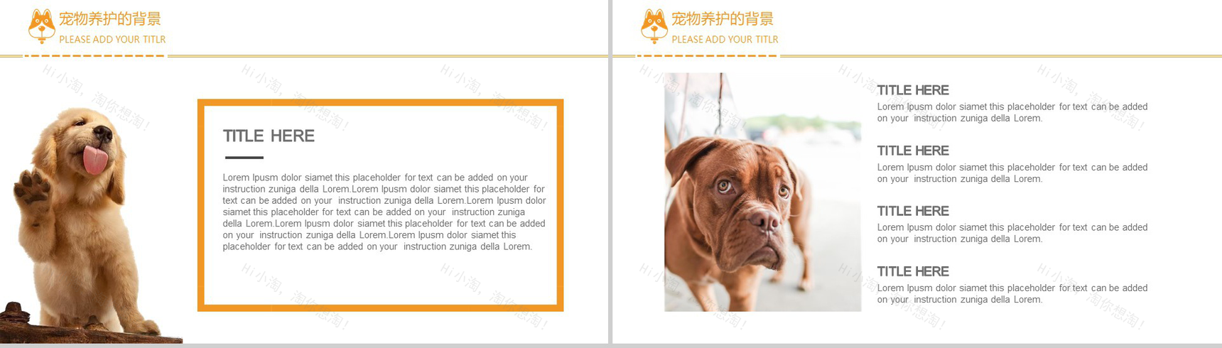 可爱风宠物养护医疗PPT模板-3
