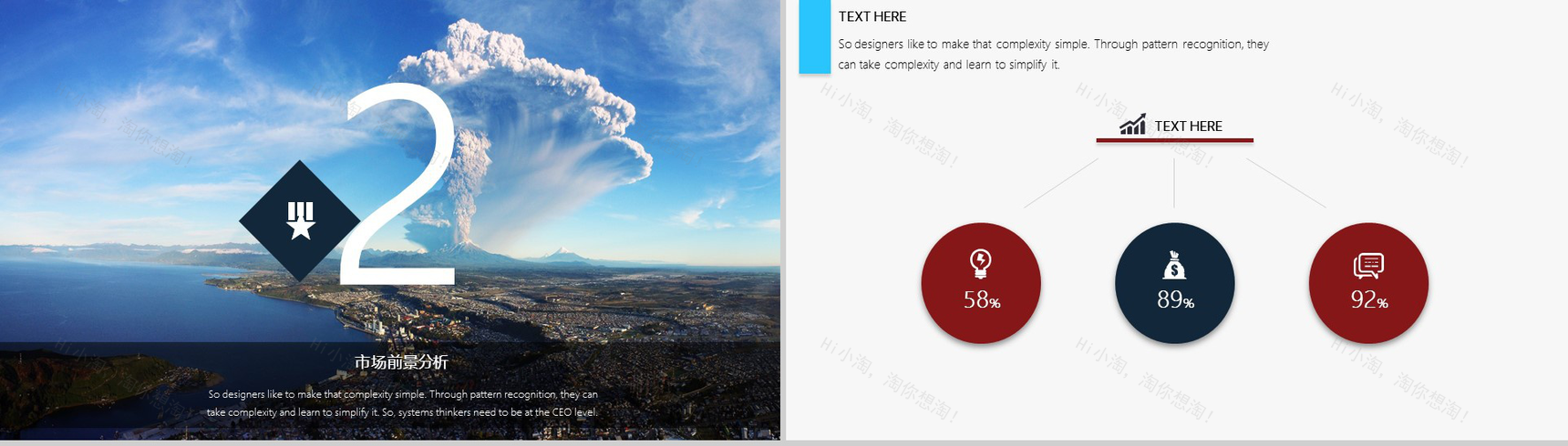 大气极美简约风险投资管理策划书PPT模板-5