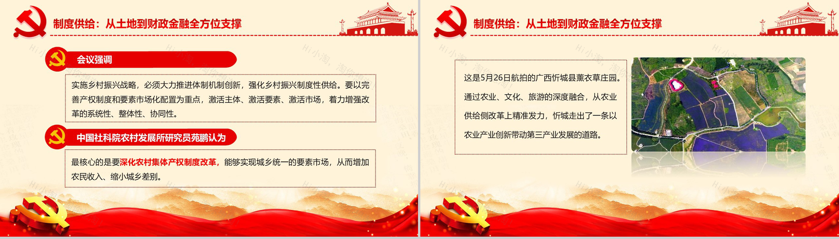 精致简约中央农村工作会议实现乡村振兴战略PPT模板-12