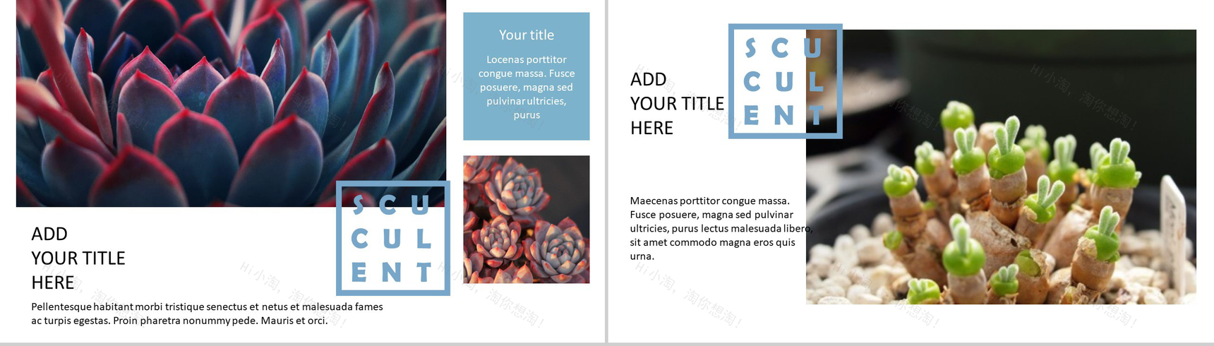 20XX小清新欧美风工作总结商务汇报PPT模板-3