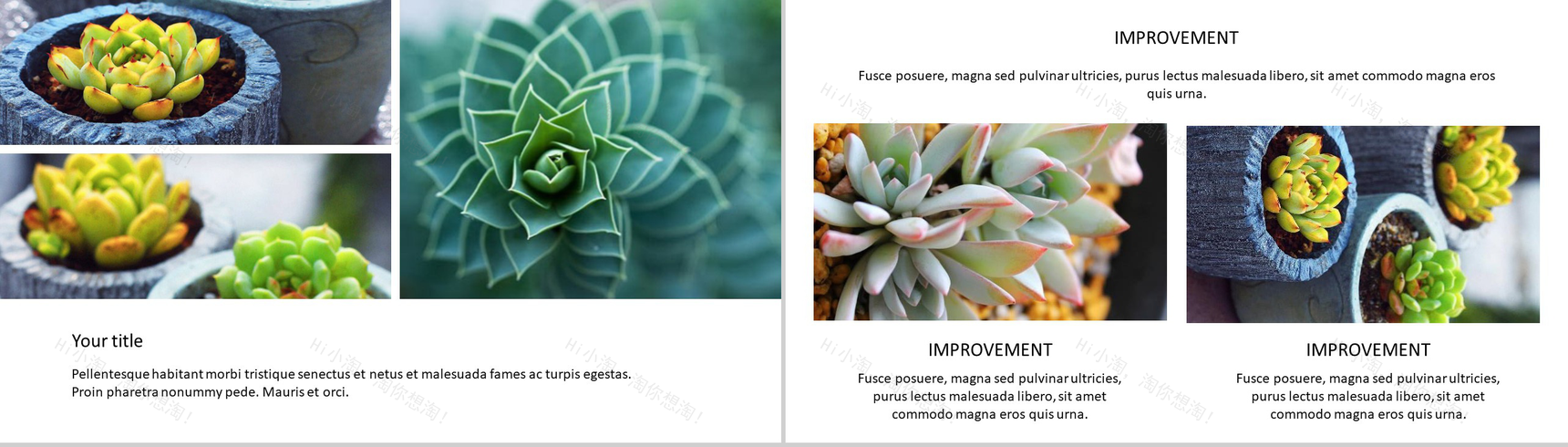 20XX小清新欧美风工作总结商务汇报PPT模板-6