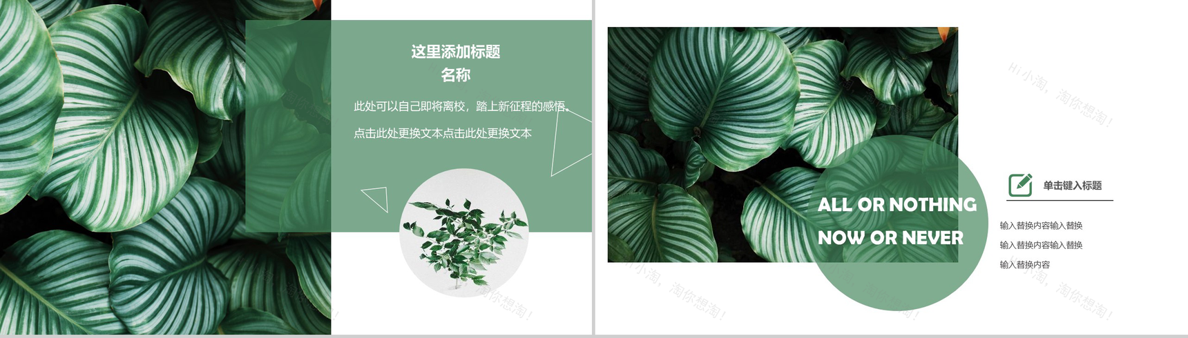 2020绿叶森系文艺工作总结PPT模板-9