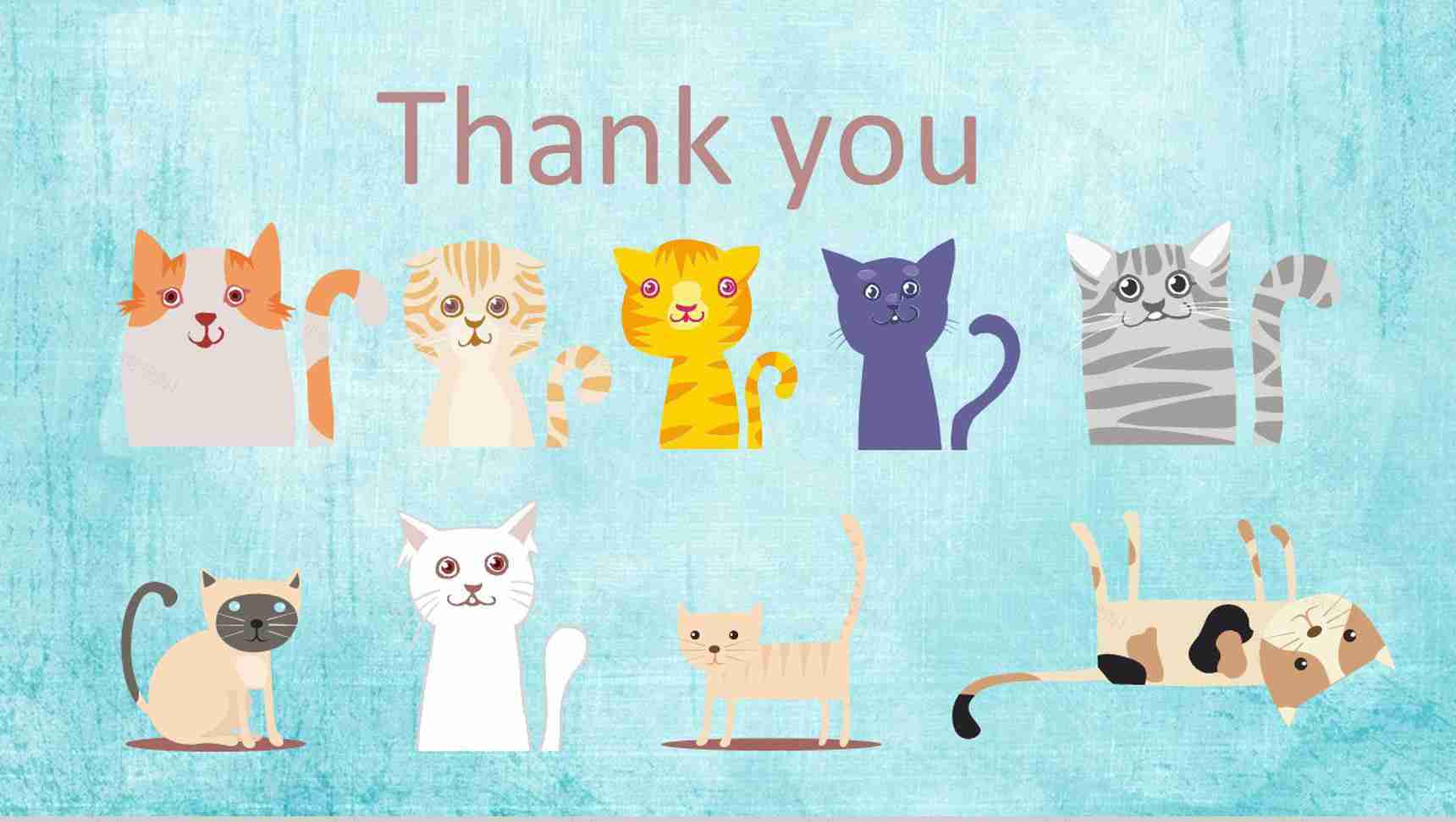 可爱动物宠物保护行业PPT模板-13