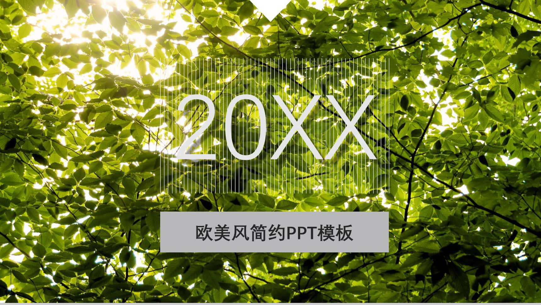 森林主题欧美风简约PPT模板