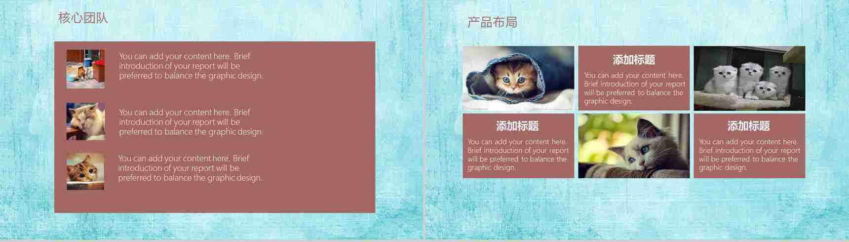 可爱宠物行业企业宣传PPT模板-7