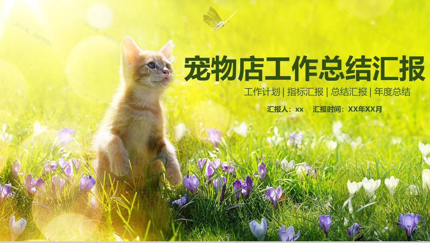 小清新宠物店工作总结汇报PPT模板-1