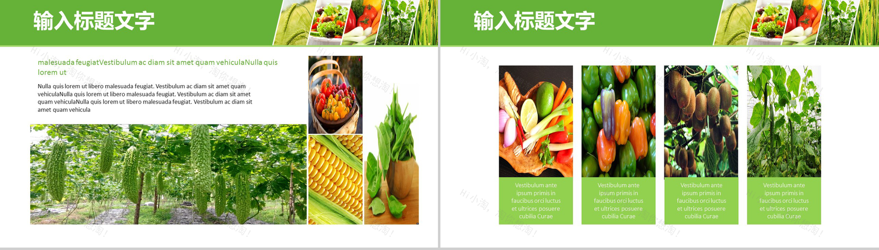 简约大气绿色农产品背景优势介绍培训创意环保食物基地介绍宣传PPT模板-4