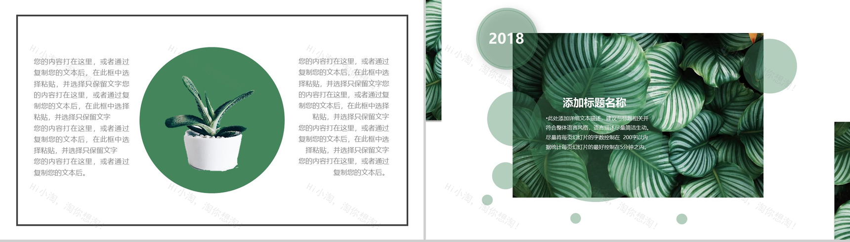 2020绿叶森系文艺工作总结PPT模板-5