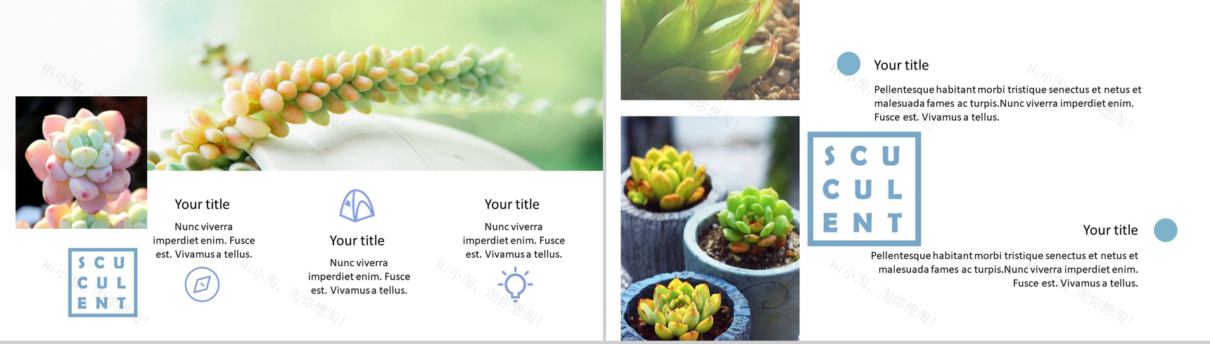 20XX小清新欧美风工作总结商务汇报PPT模板-5