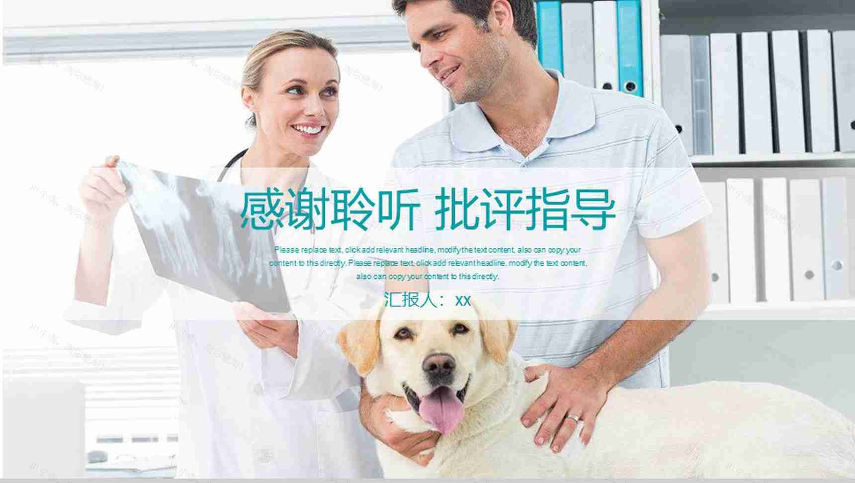 小清新宠物医院工作汇报PPT模板-13