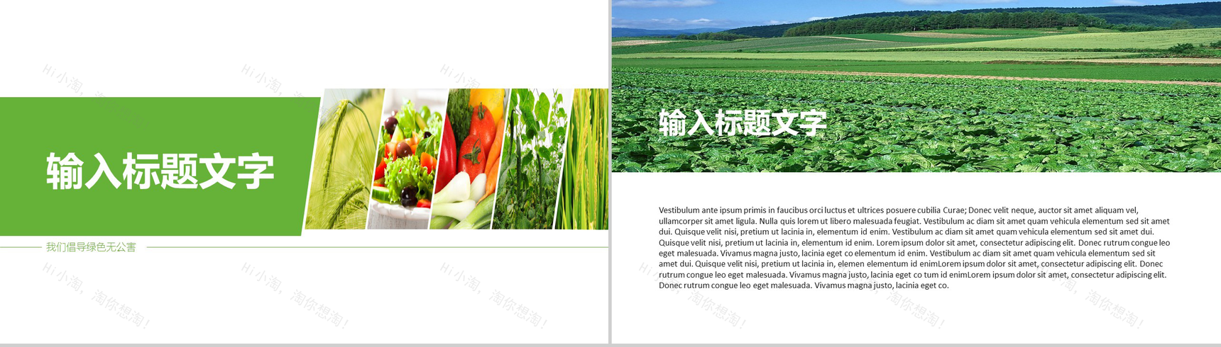 简约大气绿色农产品背景优势介绍培训创意环保食物基地介绍宣传PPT模板-2