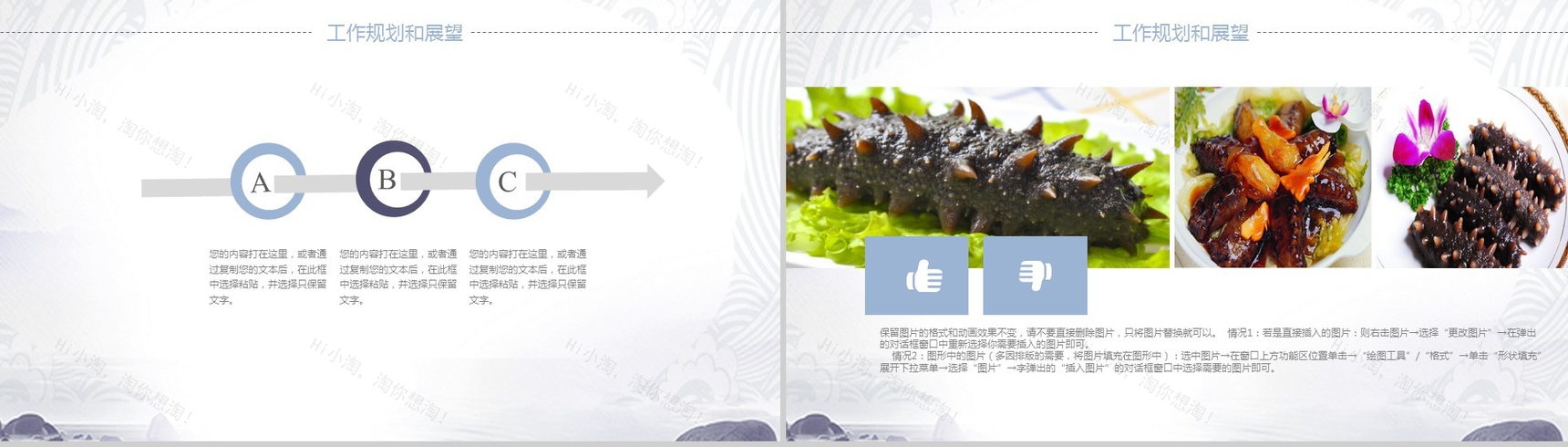 健康野生海参动态产品推广宣传工作汇报PPT模板-12