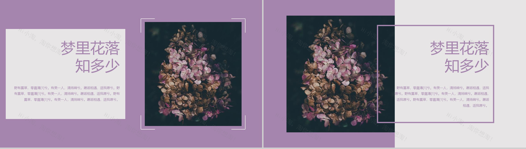 欧美大气杂志风梦里花落知多少PPT模板-7