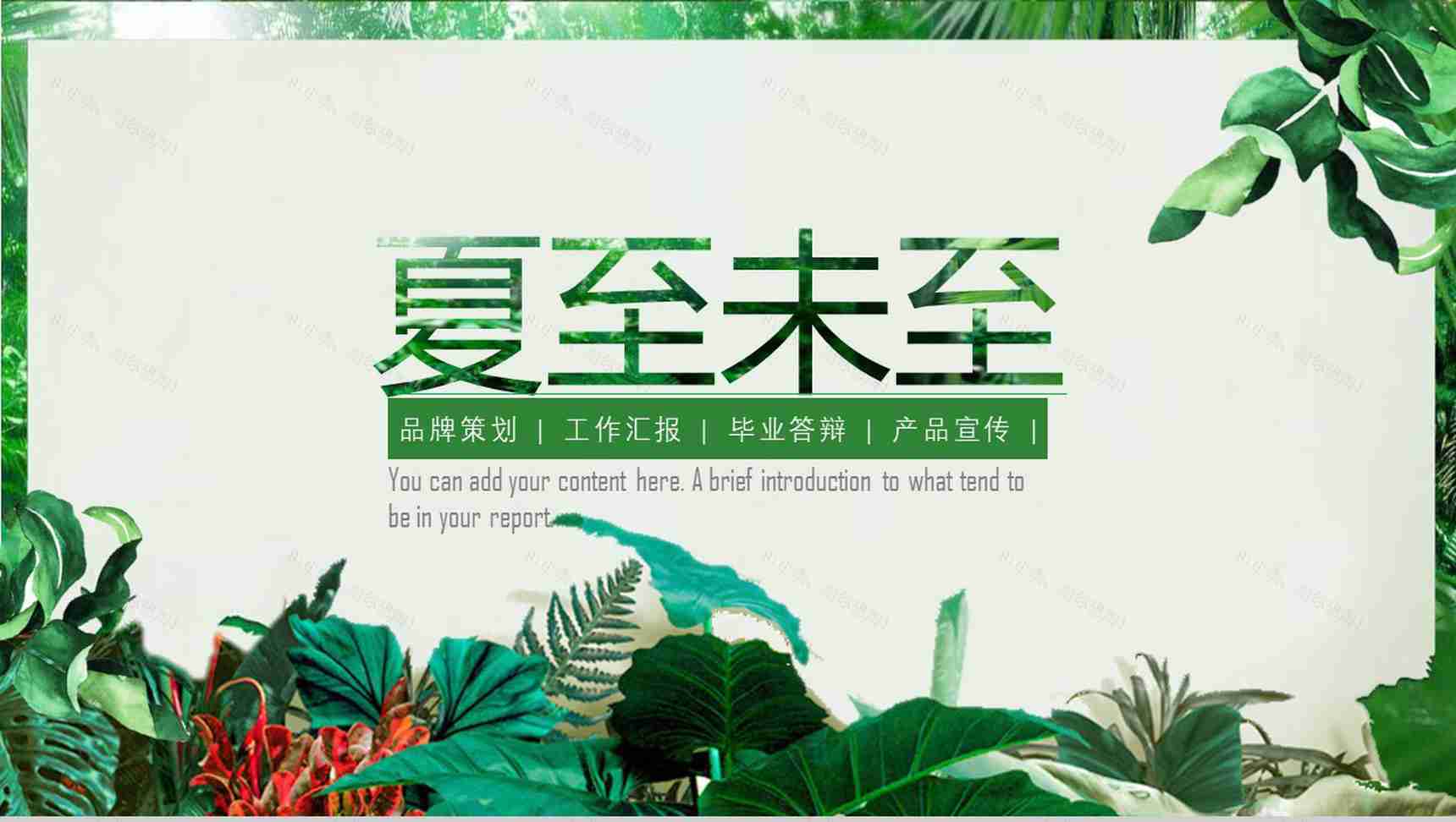 夏至未至主题策划答辩汇报PPT模板-1