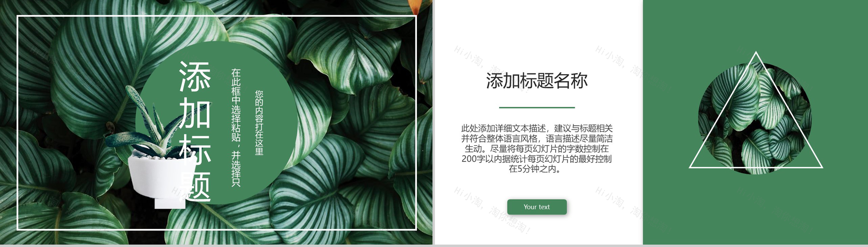 2020绿叶森系文艺工作总结PPT模板-6