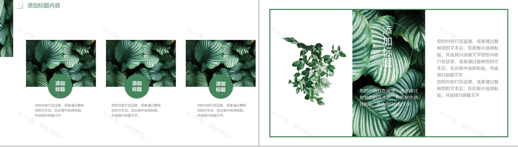 2020绿叶森系文艺工作总结PPT模板-3