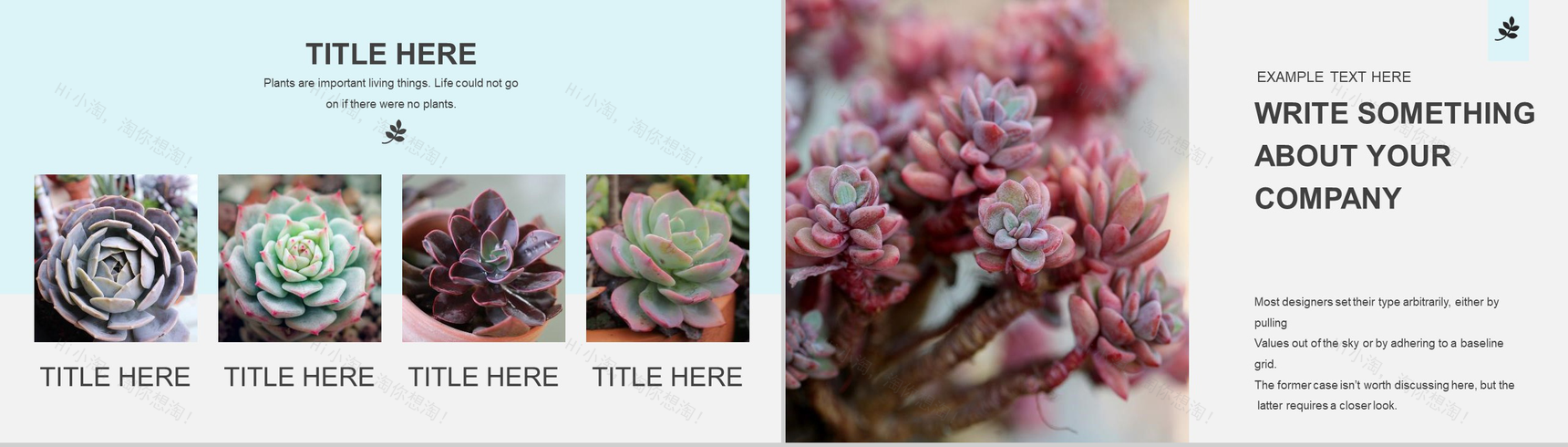 小清新多肉植物工作汇报PPT模板-4