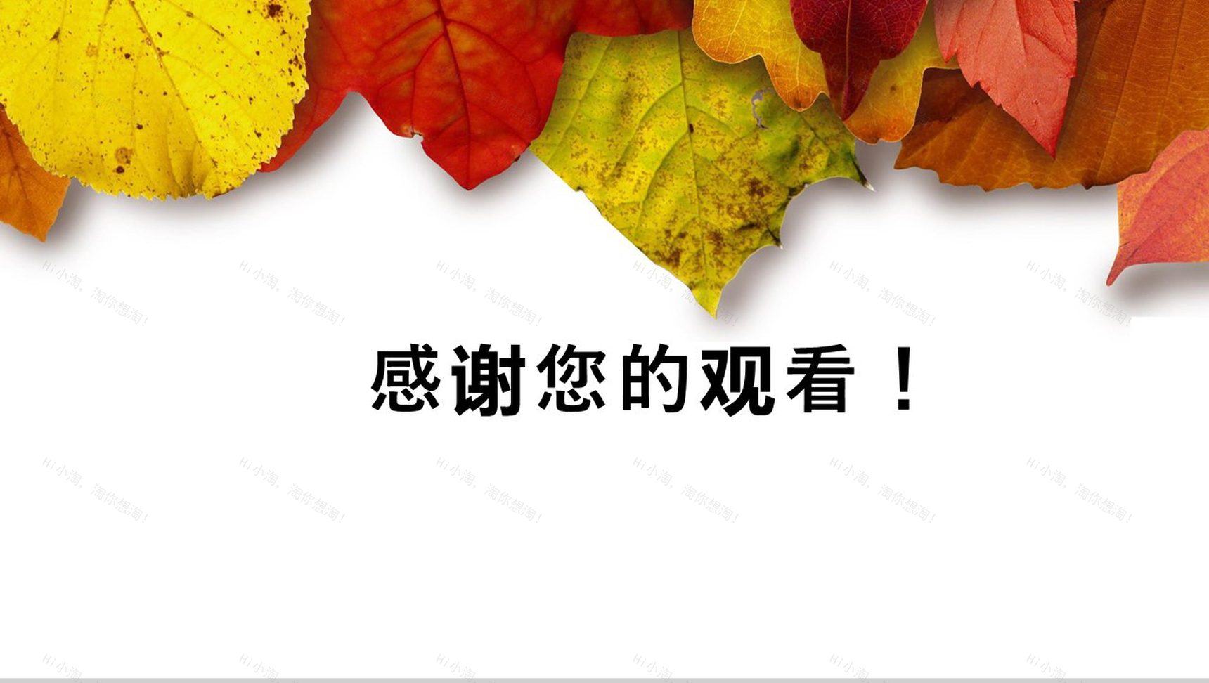 清新淡雅树叶个人简历求职竞聘PPT模板-13
