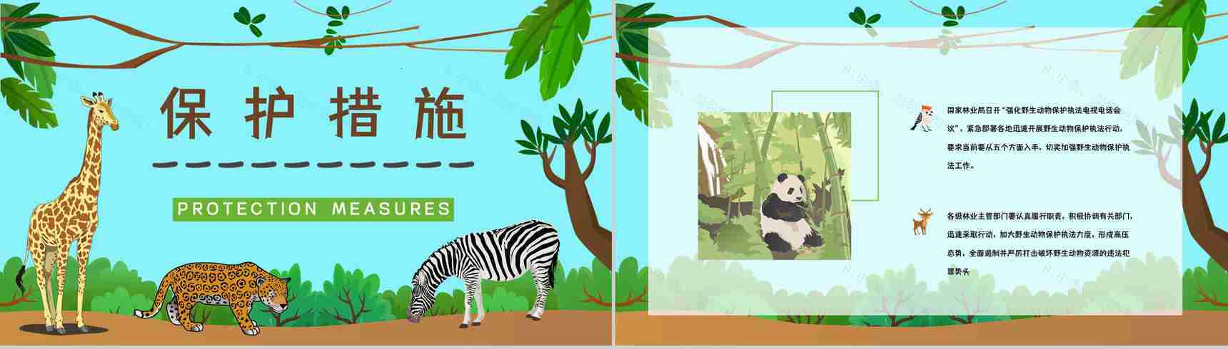 学生知识拓展至野生动物保护介绍学习主题班会世界动物日活动宣传讲解PPT模板-9