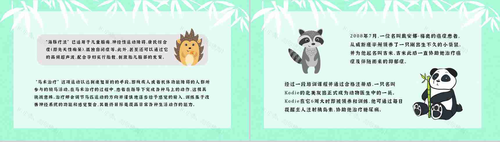 学生知识拓展至国际保护动物日介绍学习主题班会世界动物日活动宣传讲解PPT模板-6