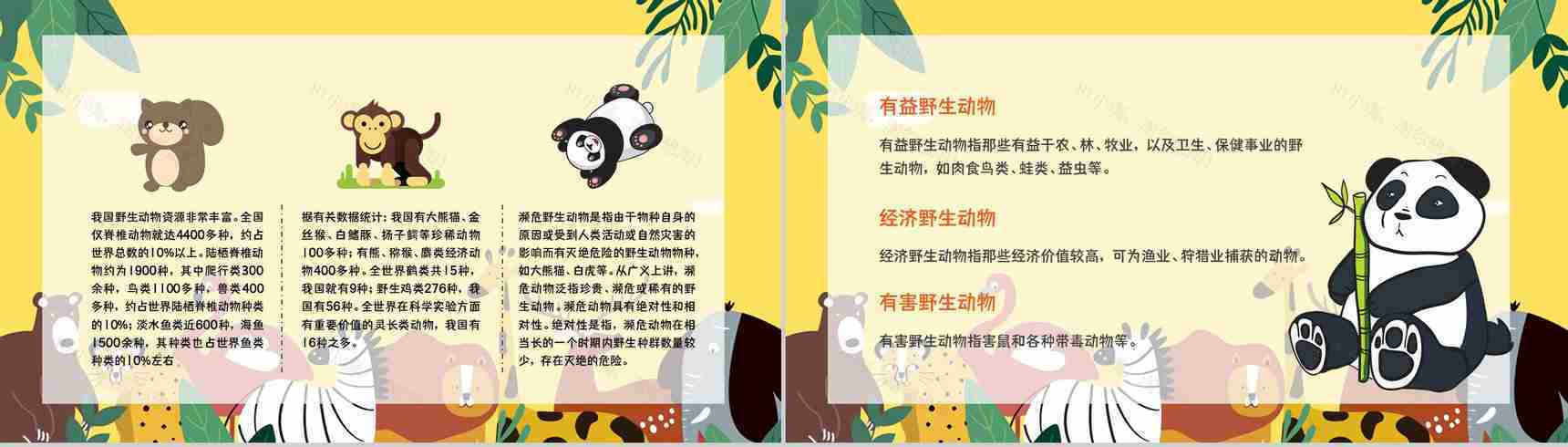 公益活动宣传野生动物保护策划学校教育培训课外活动讲座PPT模板-10