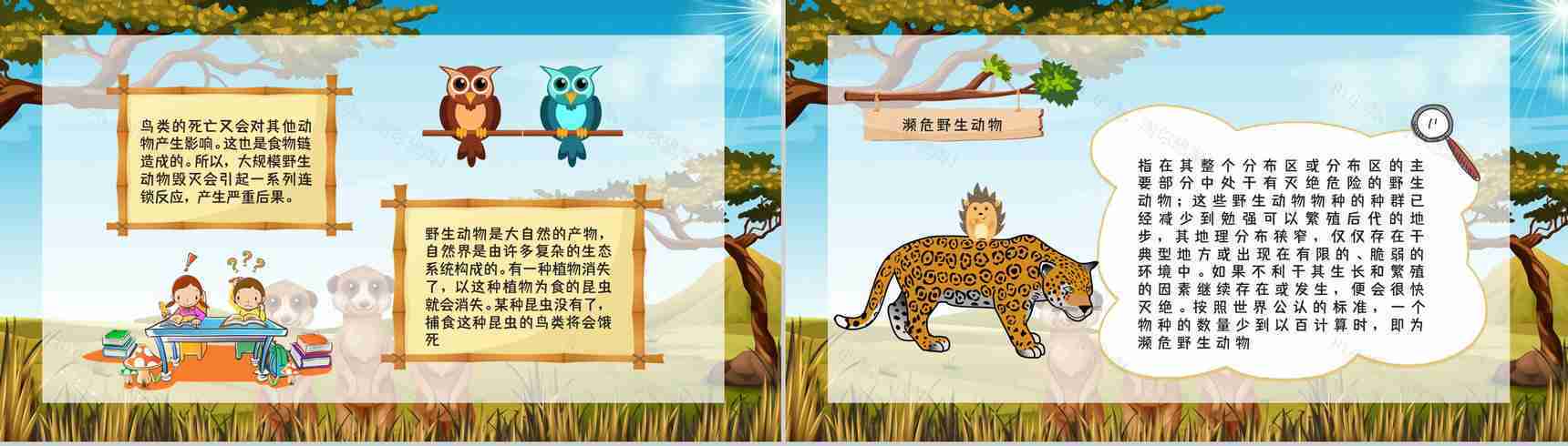 保护野生动物我们在行动主题公益活动宣传学生课外教学拓展PPT模板-8