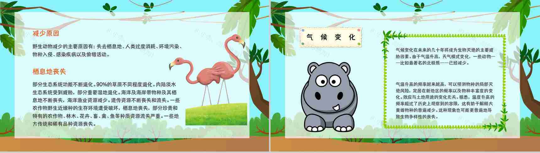 学生知识拓展至野生动物保护介绍学习主题班会世界动物日活动宣传讲解PPT模板-3