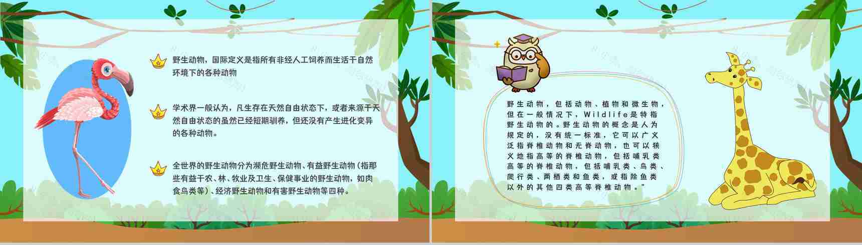 学生知识拓展至野生动物保护介绍学习主题班会世界动物日活动宣传讲解PPT模板-5