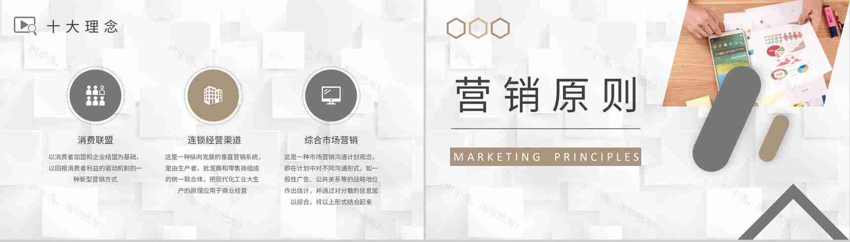 企业品牌介绍产品宣传策划方案市场营销策略分析培训PPT模板-4
