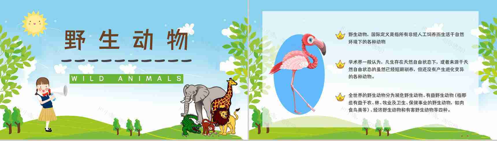 禁食野味宣传野生动物知识讲解保护动物活动公益宣传培训讲座PPT模板-2