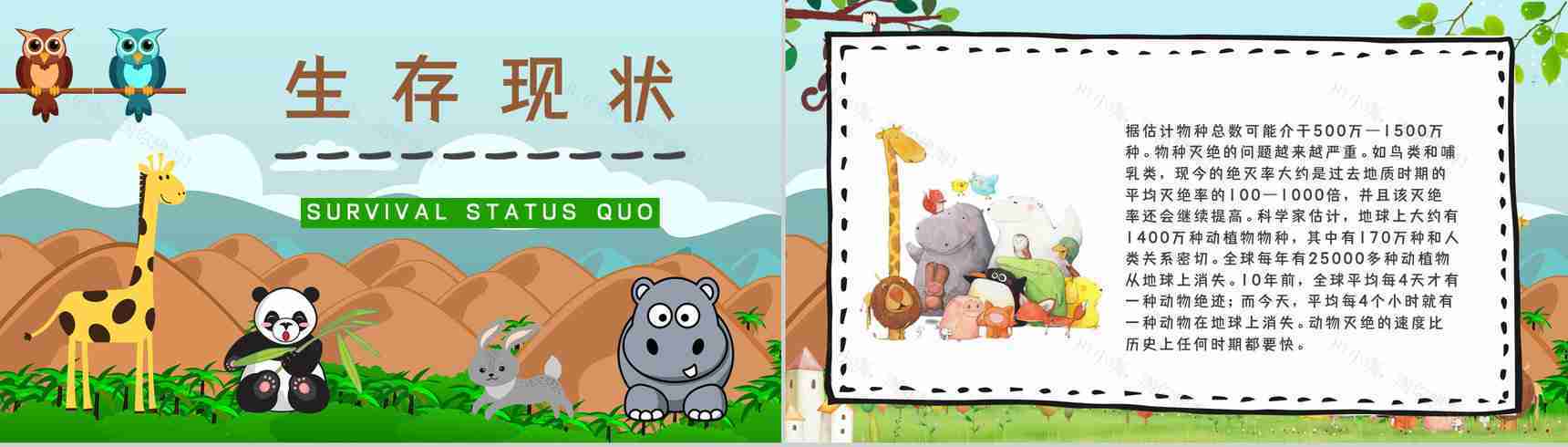 教育培训之野生动物介绍保护动物公益活动主题班会宣传活动计划书通用PPT模板-6
