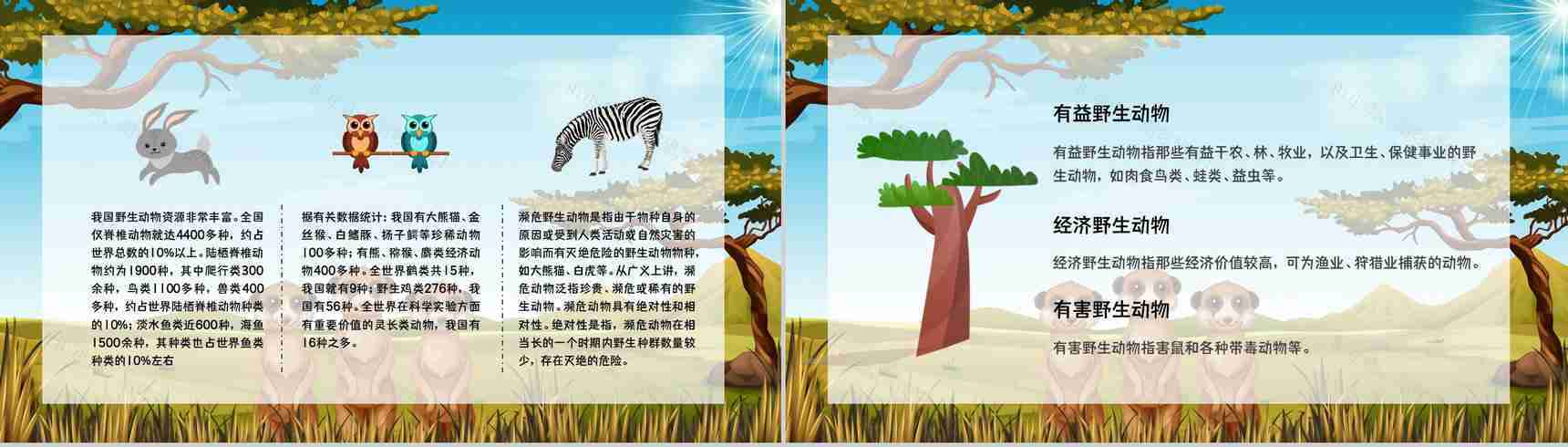 保护野生动物我们在行动主题公益活动宣传学生课外教学拓展PPT模板-6