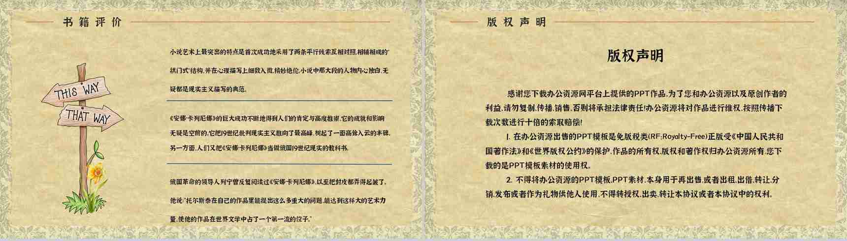 世界文学巨著《安娜卡列尼娜》小说简介人物形象分析教师备课课件PPT模板-12